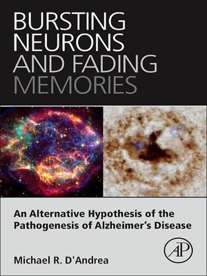 cover image of Bursting Neurons and Fading Memories